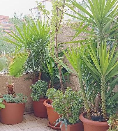 Apartamento Principe Caceres Bagian luar foto