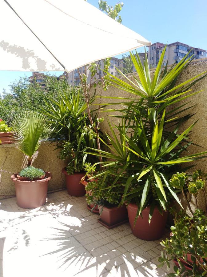Apartamento Principe Caceres Bagian luar foto