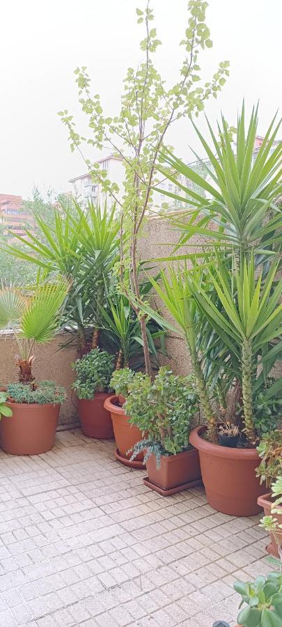Apartamento Principe Caceres Bagian luar foto