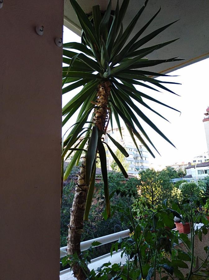 Apartamento Principe Caceres Bagian luar foto